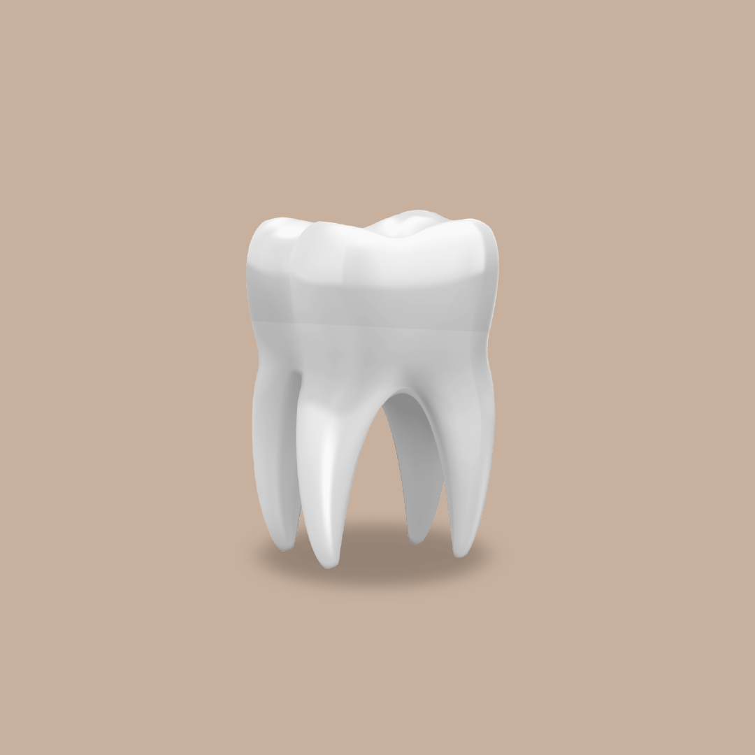 Teeth