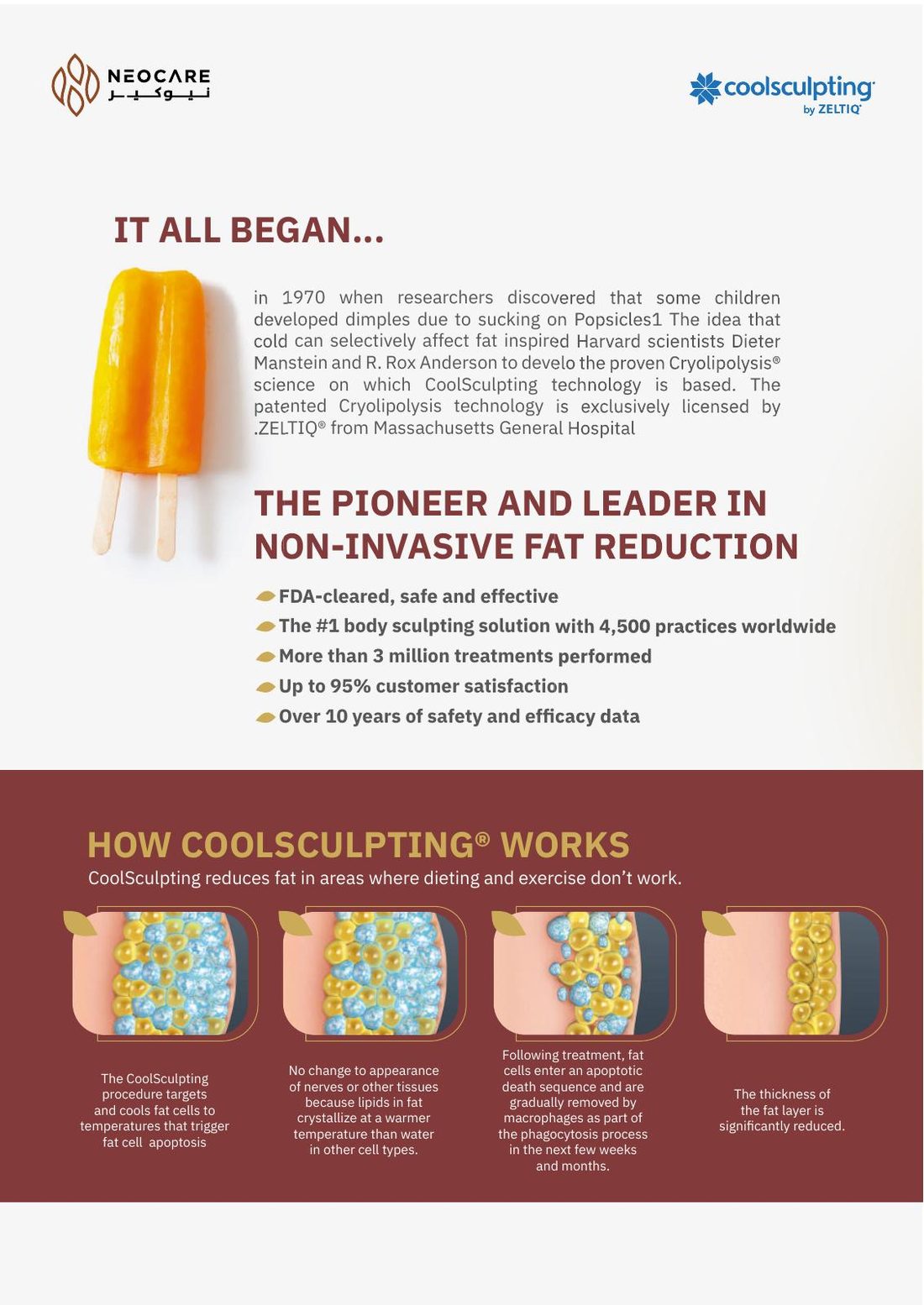 CoolSculpting brochure page 2